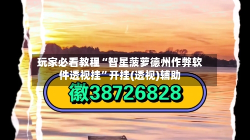 玩家必看教程“智星菠萝德州作弊软件透视挂	”开挂(透视)辅助-第1张图片