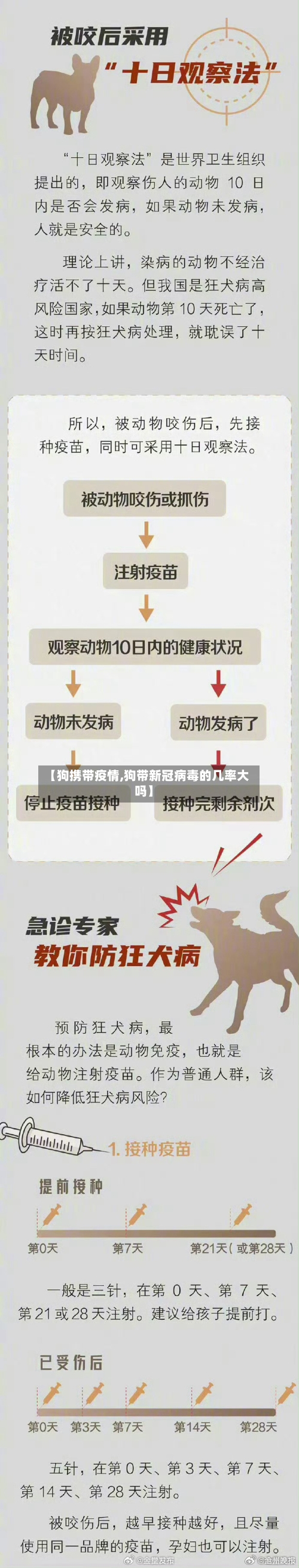 【狗携带疫情,狗带新冠病毒的几率大吗】-第3张图片
