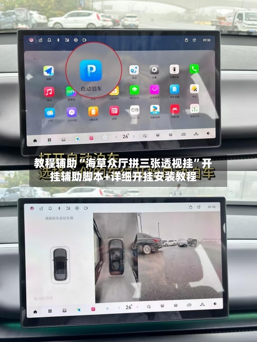 教程辅助“海草众厅拼三张透视挂	”开挂辅助脚本+详细开挂安装教程-第1张图片