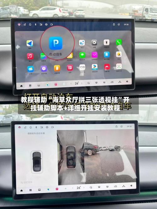 教程辅助“海草众厅拼三张透视挂”开挂辅助脚本+详细开挂安装教程-第2张图片