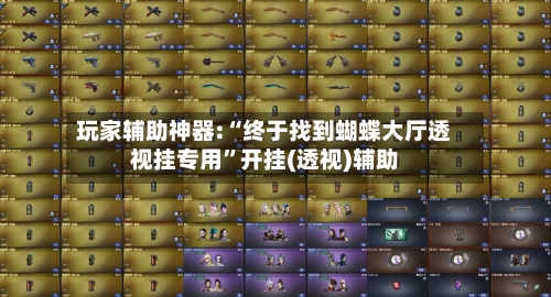 玩家辅助神器:“终于找到蝴蝶大厅透视挂专用	”开挂(透视)辅助-第1张图片