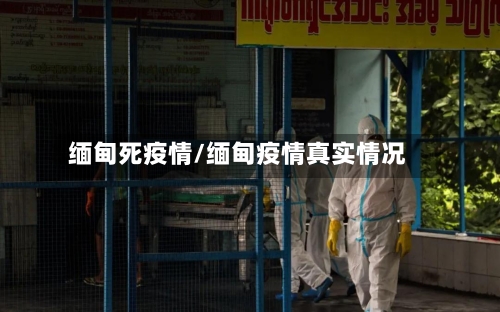 缅甸死疫情/缅甸疫情真实情况-第1张图片
