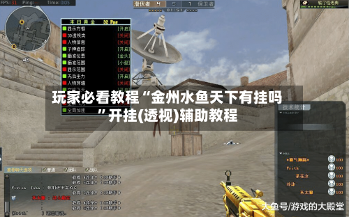玩家必看教程“金州水鱼天下有挂吗”开挂(透视)辅助教程-第3张图片