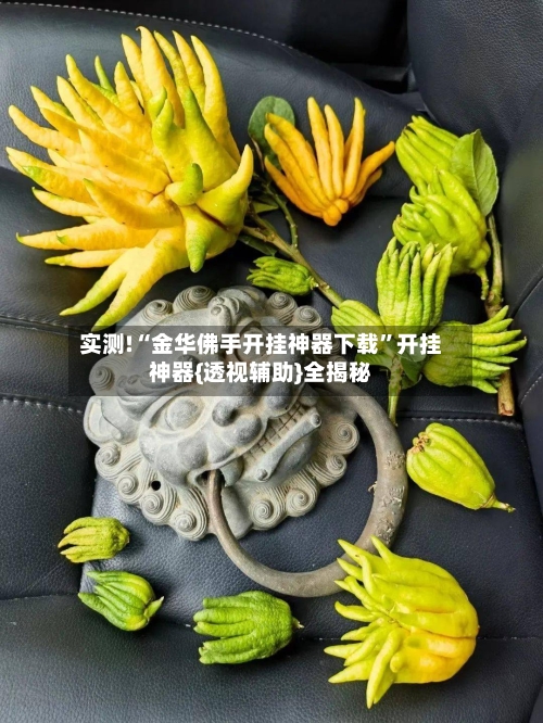 实测!“金华佛手开挂神器下载”开挂神器{透视辅助}全揭秘-第1张图片
