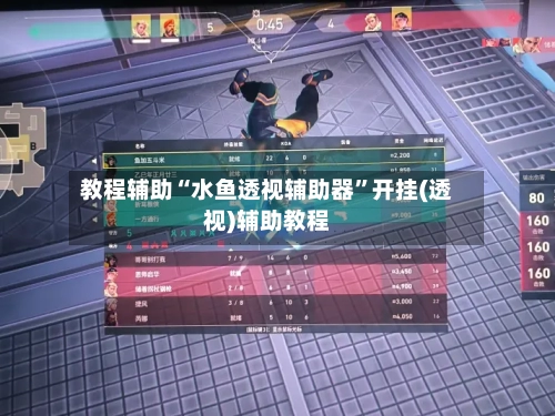 教程辅助“水鱼透视辅助器”开挂(透视)辅助教程-第1张图片
