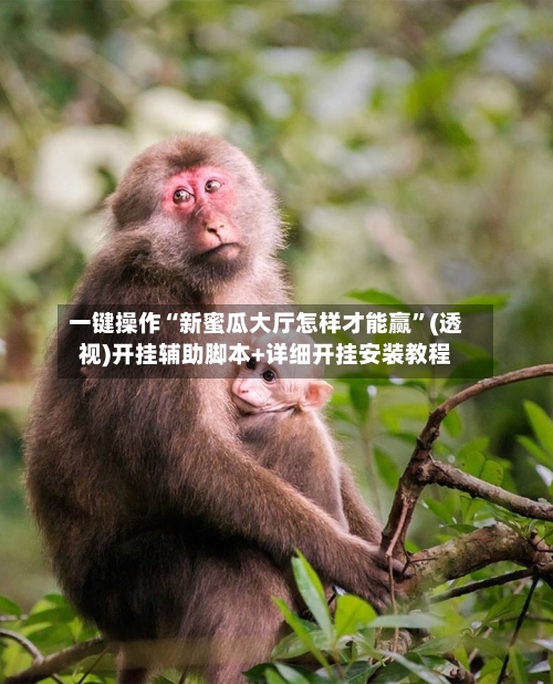 一键操作“新蜜瓜大厅怎样才能赢”(透视)开挂辅助脚本+详细开挂安装教程-第1张图片