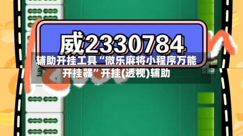 辅助开挂工具“微乐麻将小程序万能开挂器”开挂(透视)辅助-第2张图片