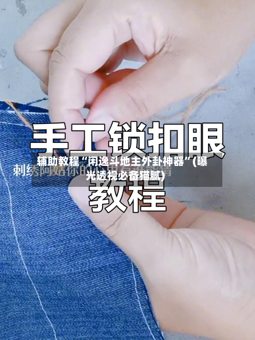 辅助教程“闲逸斗地主外卦神器”(曝光透视必备猫腻)-第1张图片