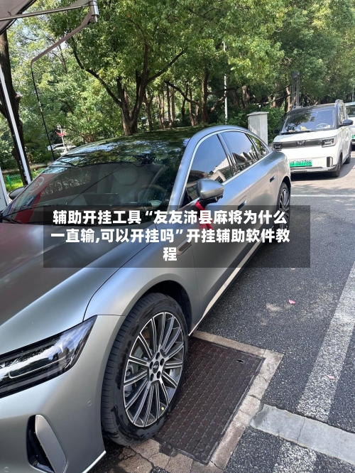 辅助开挂工具“友友沛县麻将为什么一直输,可以开挂吗	”开挂辅助软件教程-第1张图片