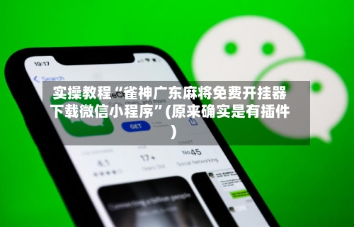 实操教程“雀神广东麻将免费开挂器下载微信小程序”(原来确实是有插件)-第2张图片