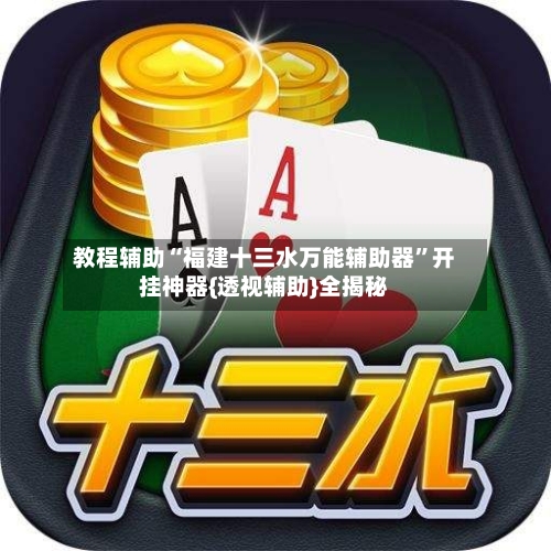 教程辅助“福建十三水万能辅助器	”开挂神器{透视辅助}全揭秘-第2张图片