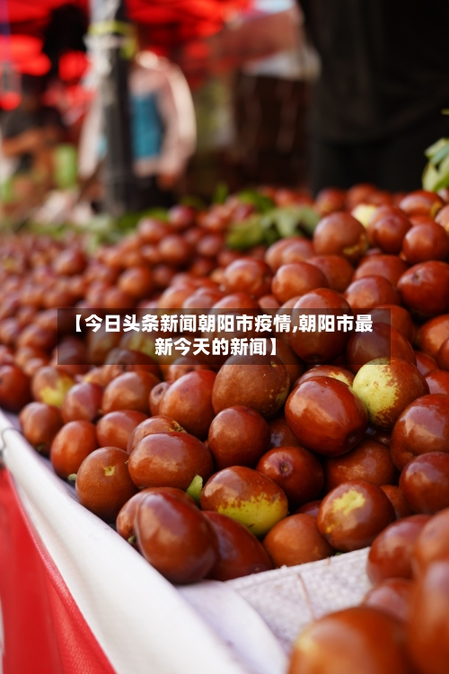 【今日头条新闻朝阳市疫情,朝阳市最新今天的新闻】-第1张图片