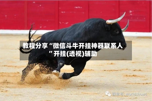 教程分享“微信斗牛开挂神器联系人”开挂(透视)辅助-第3张图片