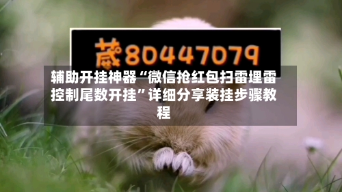 辅助开挂神器“微信抢红包扫雷埋雷控制尾数开挂”详细分享装挂步骤教程-第1张图片