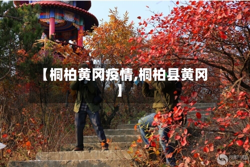 【桐柏黄冈疫情,桐柏县黄冈】-第3张图片