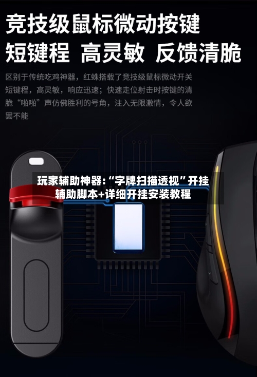 玩家辅助神器:“字牌扫描透视	”开挂辅助脚本+详细开挂安装教程-第1张图片