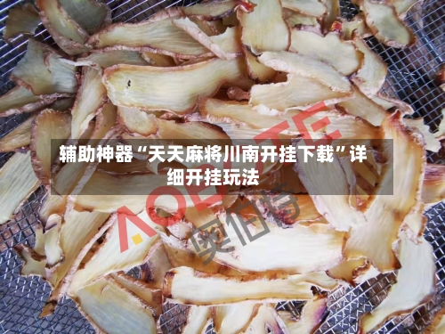 辅助神器“天天麻将川南开挂下载”详细开挂玩法-第2张图片