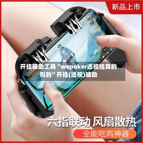 开挂辅助工具“wepoker透视挂真的假的”开挂(透视)辅助-第2张图片