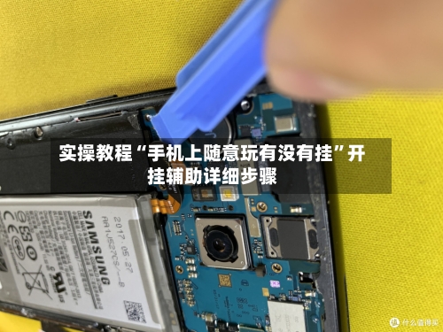 实操教程“手机上随意玩有没有挂”开挂辅助详细步骤-第1张图片