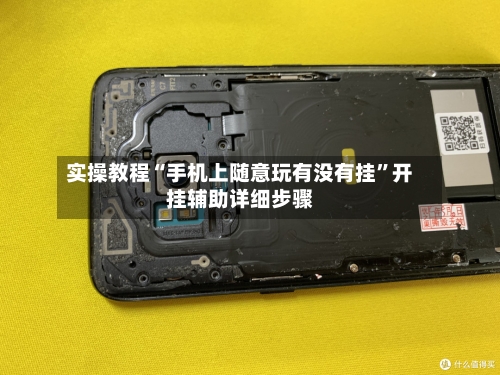 实操教程“手机上随意玩有没有挂	”开挂辅助详细步骤-第2张图片