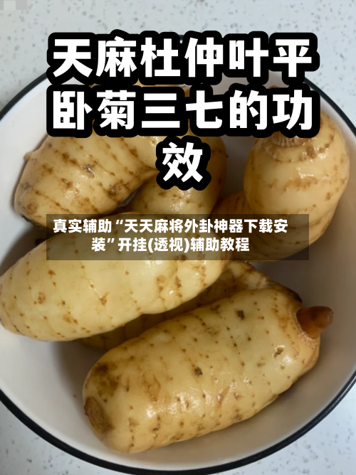 真实辅助“天天麻将外卦神器下载安装	”开挂(透视)辅助教程-第1张图片