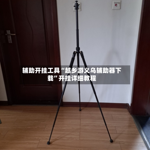 辅助开挂工具“越乡游义乌辅助器下载”开挂详细教程-第2张图片