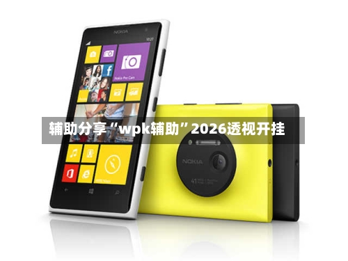 辅助分享“wpk辅助”2026透视开挂-第1张图片