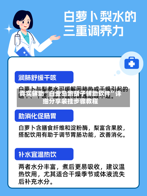 真实辅助“白金岛跑胡子辅助软件”详细分享装挂步骤教程-第2张图片
