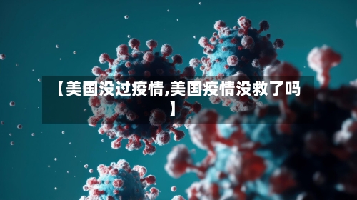 【美国没过疫情,美国疫情没救了吗】-第2张图片