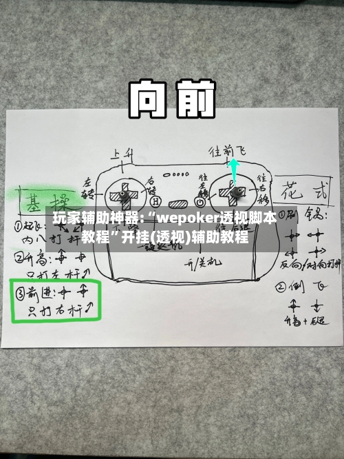 玩家辅助神器:“wepoker透视脚本教程”开挂(透视)辅助教程-第3张图片