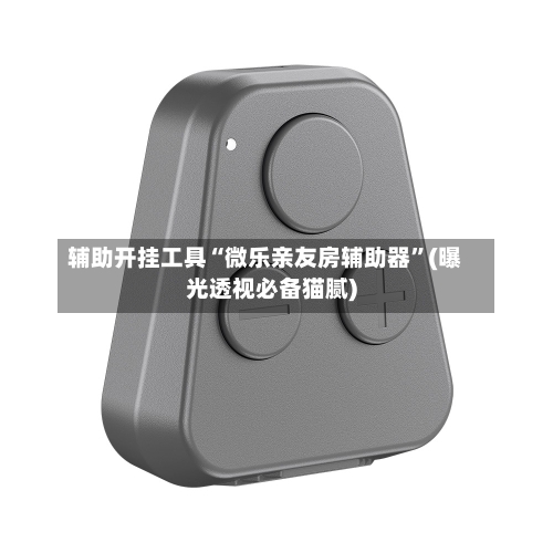 辅助开挂工具“微乐亲友房辅助器”(曝光透视必备猫腻)-第1张图片