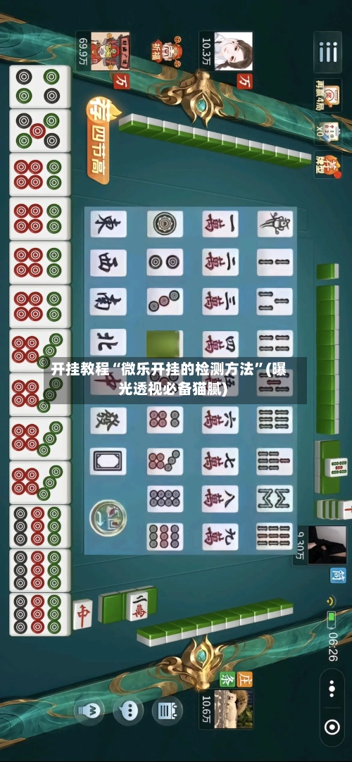 开挂教程“微乐开挂的检测方法”(曝光透视必备猫腻)-第1张图片