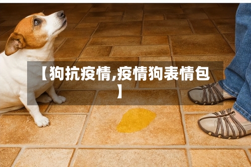 【狗抗疫情,疫情狗表情包】-第1张图片