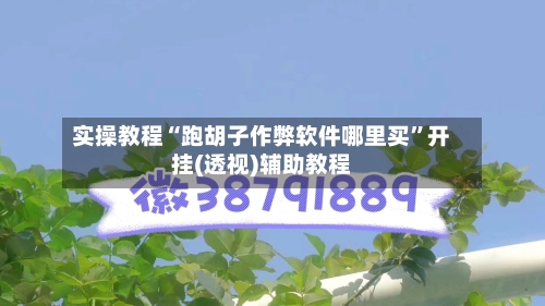 实操教程“跑胡子作弊软件哪里买”开挂(透视)辅助教程-第1张图片