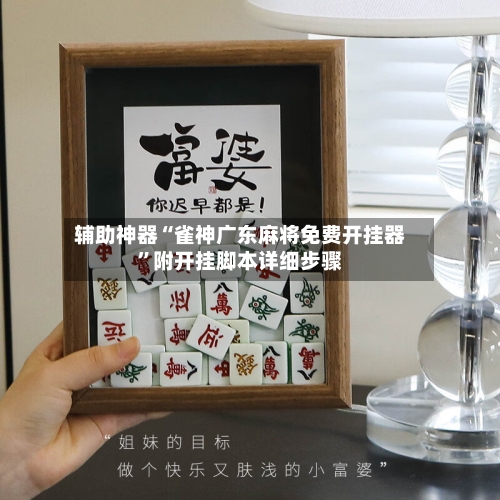 辅助神器“雀神广东麻将免费开挂器”附开挂脚本详细步骤-第3张图片