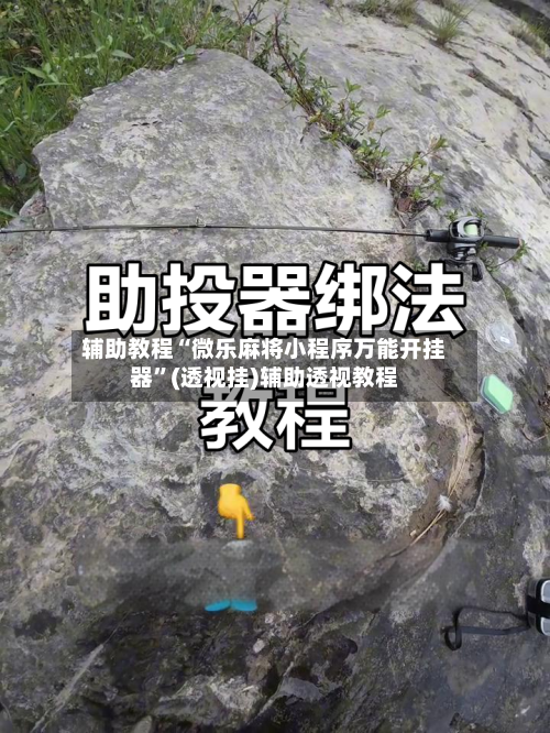 辅助教程“微乐麻将小程序万能开挂器”(透视挂)辅助透视教程-第1张图片