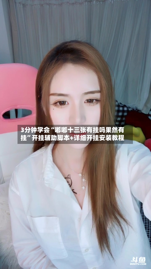 3分钟学会“嘟嘟十三张有挂吗果然有挂”开挂辅助脚本+详细开挂安装教程-第1张图片