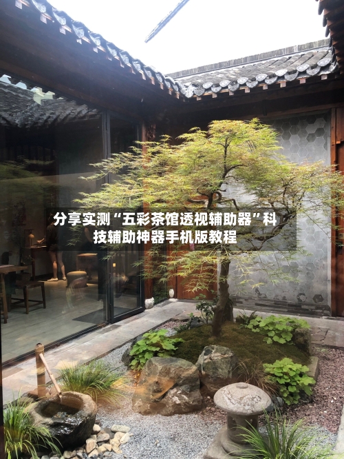 分享实测“五彩茶馆透视辅助器	”科技辅助神器手机版教程-第1张图片