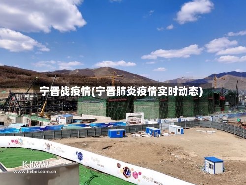 宁晋战疫情(宁晋肺炎疫情实时动态)-第2张图片