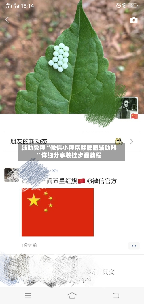 辅助教程“微信小程序赣牌圈辅助器”详细分享装挂步骤教程-第3张图片