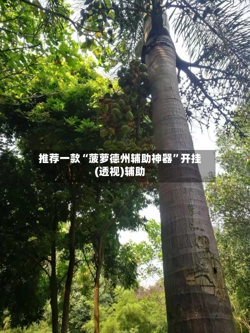 推荐一款“菠萝德州辅助神器	”开挂(透视)辅助-第1张图片