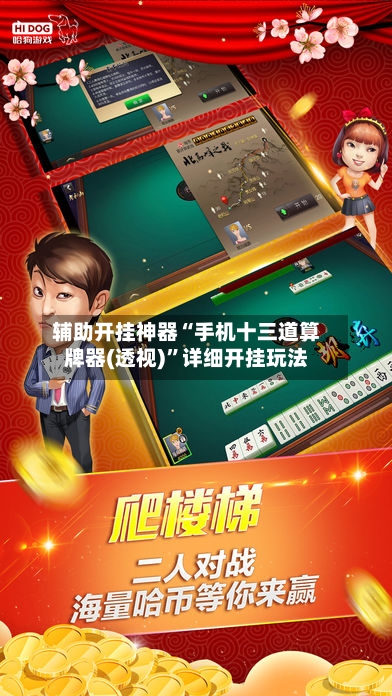 辅助开挂神器“手机十三道算牌器(透视)	”详细开挂玩法-第2张图片