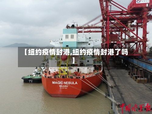 【纽约疫情封港,纽约疫情封港了吗】-第3张图片