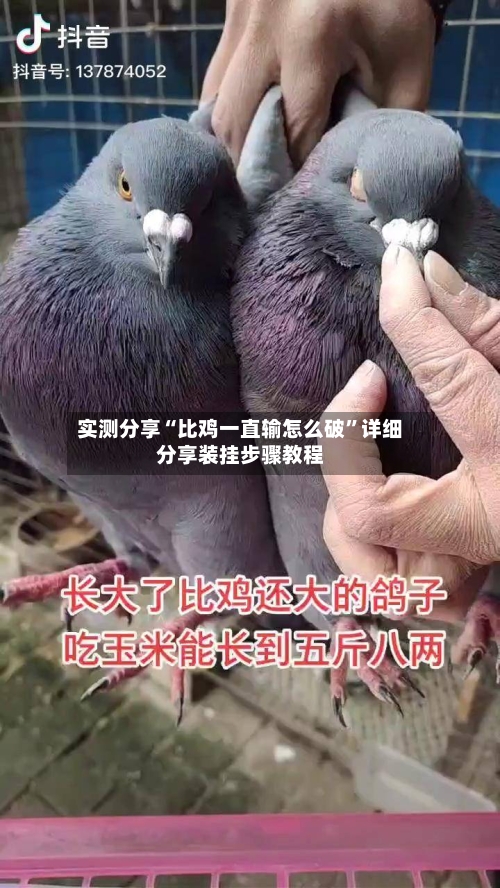 实测分享“比鸡一直输怎么破	”详细分享装挂步骤教程-第1张图片