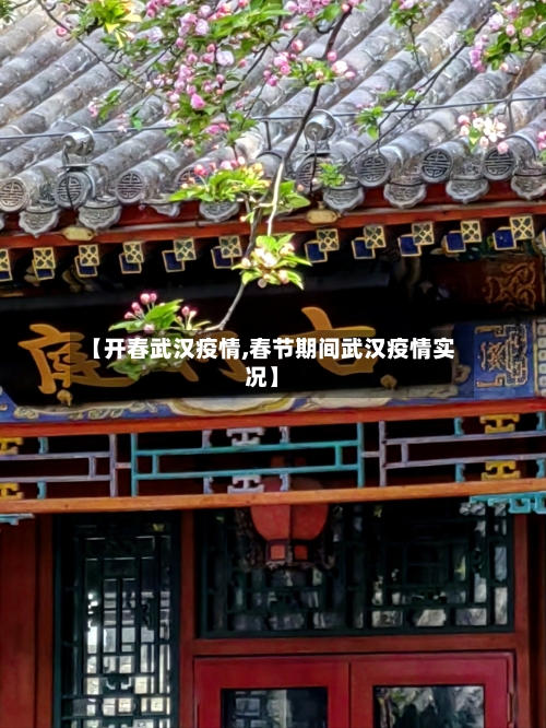 【开春武汉疫情,春节期间武汉疫情实况】-第1张图片