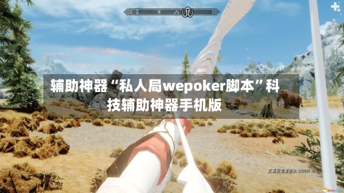 辅助神器“私人局wepoker脚本	”科技辅助神器手机版-第1张图片