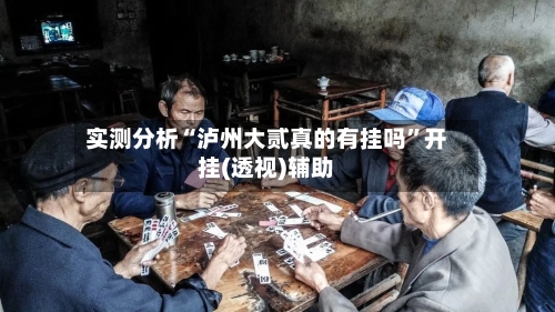 实测分析“泸州大贰真的有挂吗”开挂(透视)辅助-第1张图片