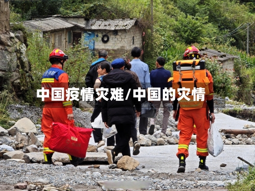 中国疫情灾难/中国的灾情-第2张图片