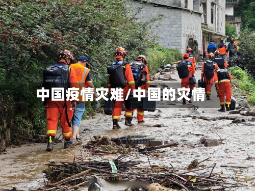 中国疫情灾难/中国的灾情-第1张图片