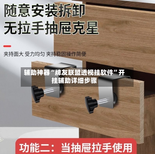 辅助神器“牌友联盟透视挂软件”开挂辅助详细步骤-第2张图片